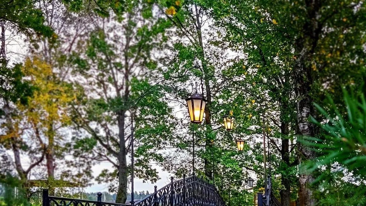 Фото: t.me/chernogolovkavk