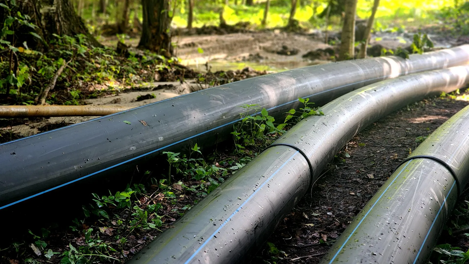 Фото: Полина Пахомова