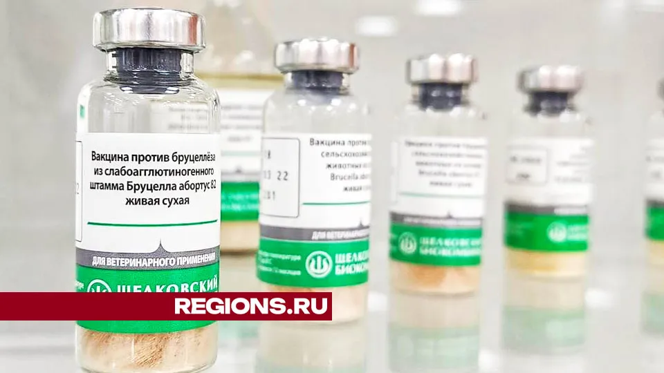 Новые вакцины, разработанные на биокомбинате в Лосино-Петровском. Фото: Валерия Тингаева