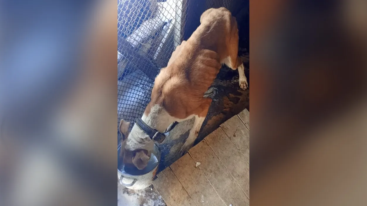 Фото: соцсети