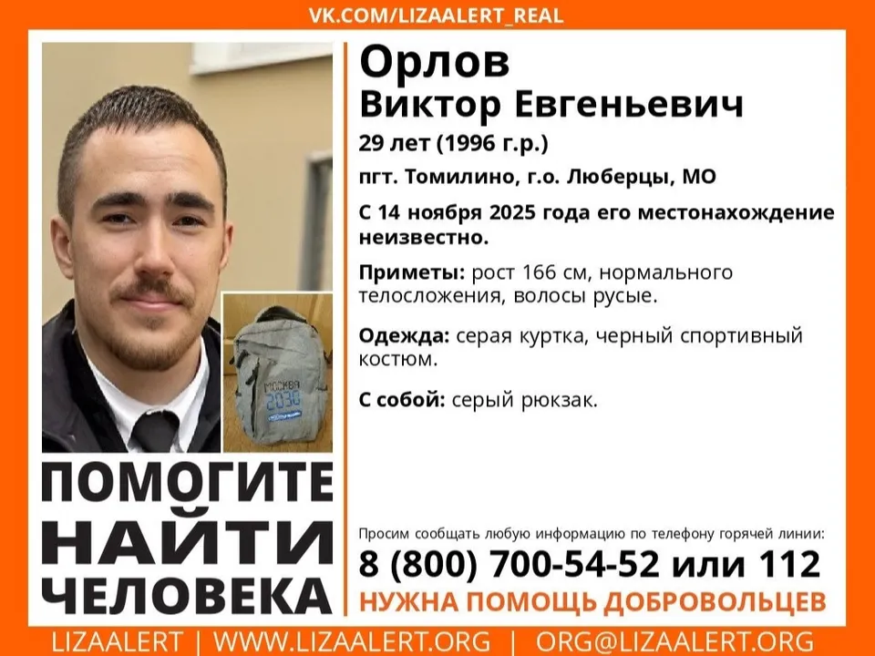 Фото: vk.com/Поисковый отряд&nbsp;«ЛизаАлерт»