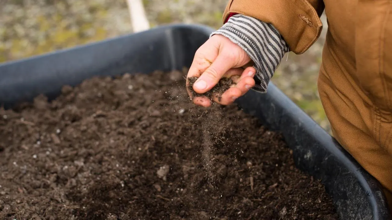 Фермер из Курска рассказал, что его финансовые резервы «остались в поле»