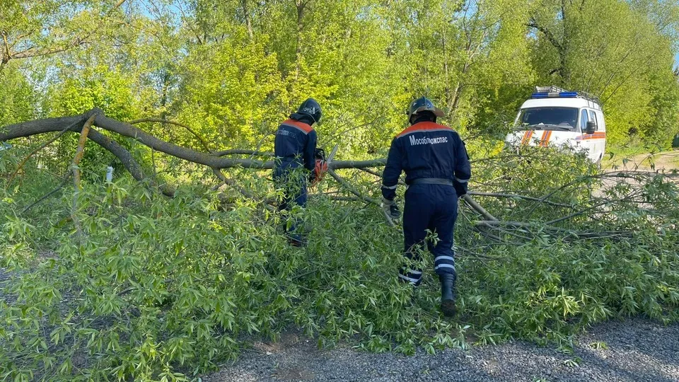 Фото: ГКУ МО «Мособлпожспас»