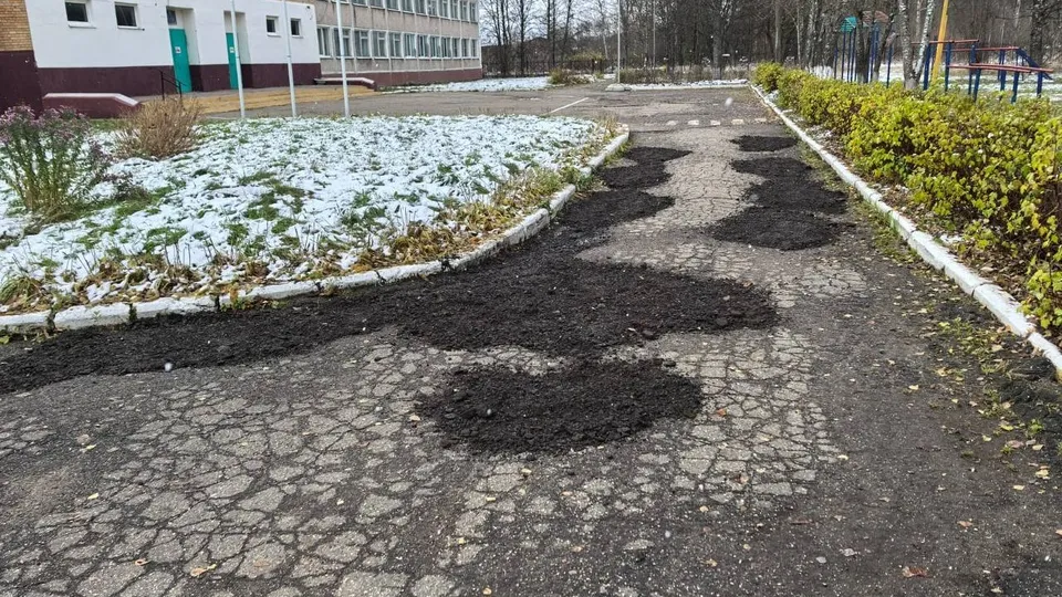 Фото: управление образования Одинцовского округа