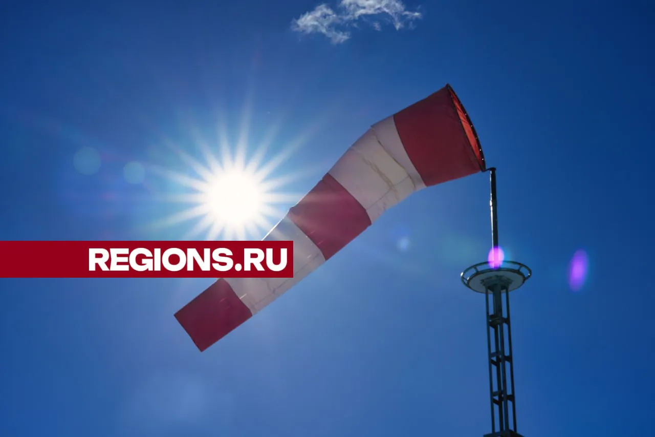 Фото: Дмитрий Зайчиков