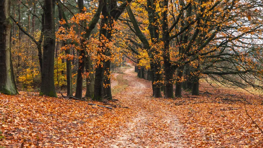 Фото: freepik.com