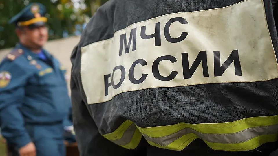 Фото: REGIONS/Анна Быкова