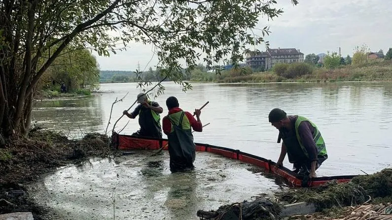 Фото: Минэкологии МО