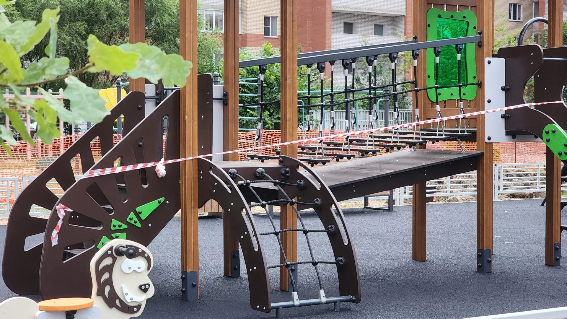 Фото: Полина Пахомова