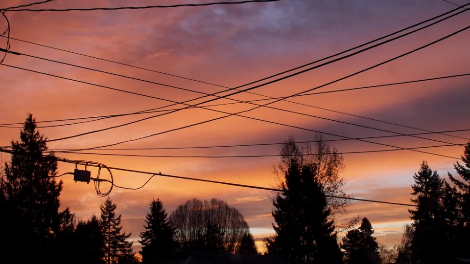 Фото: pxhere.com