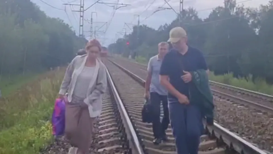 Фото: предоставлено очевидцем