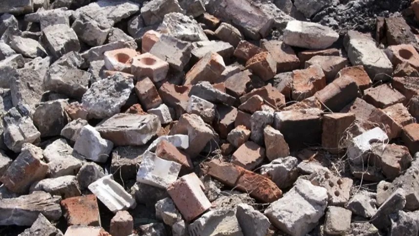 Демонстрационное фото (Минэкологии МО)