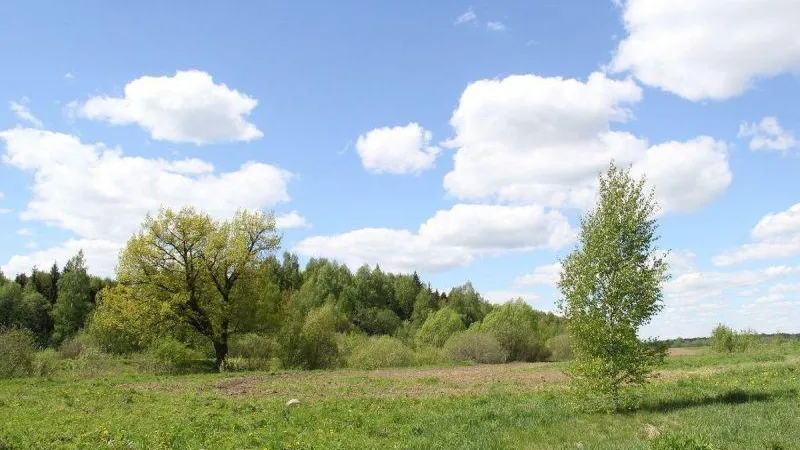 Еще пятьсот га земли передадут городским округам Подмосковья для многодетных семей