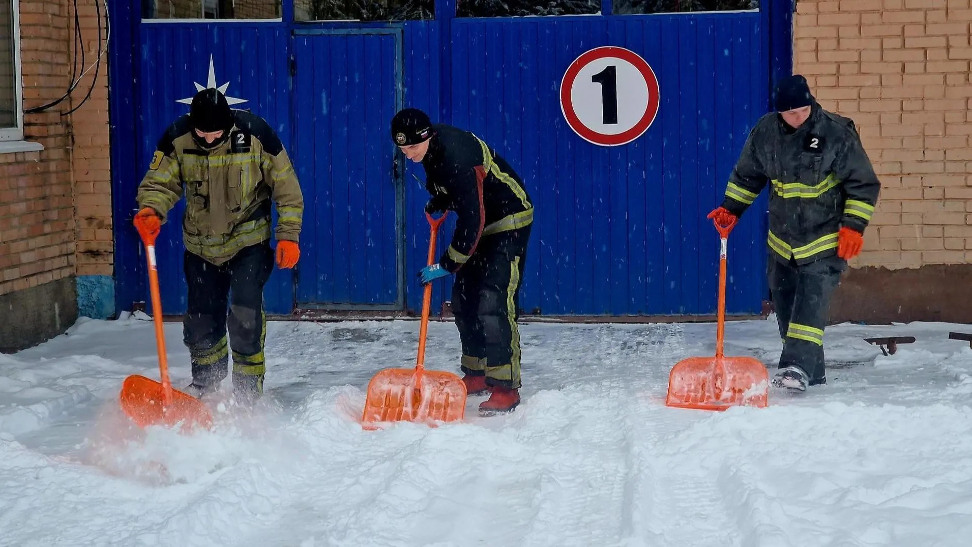 REGIONS/Ольга Шаронова