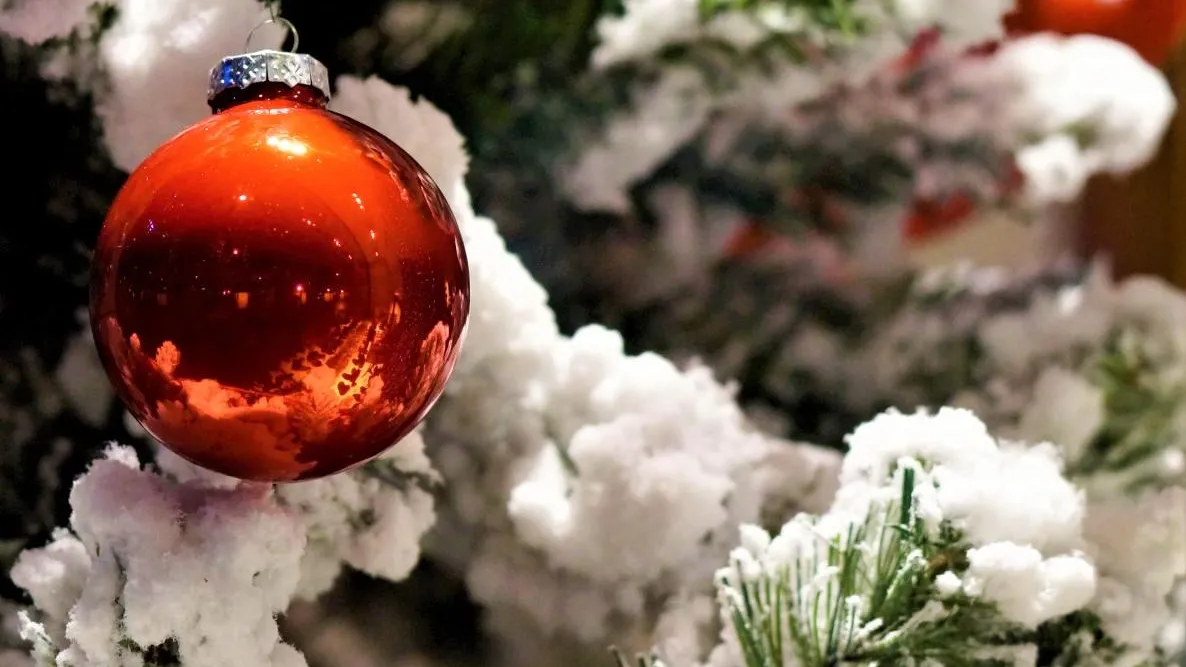 Фото: pxhere.com