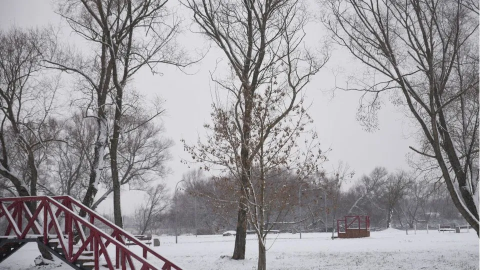 Фото: Ольга Антонова