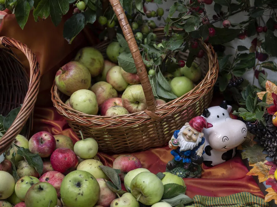 Фото: пресс-служба администрации Ленинского г.о