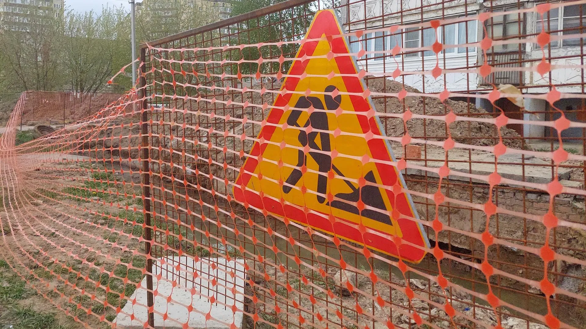 Фото: Светлана Плотникова