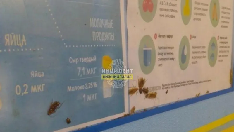 Инцидент Нижний Тагил / ВКонтакте