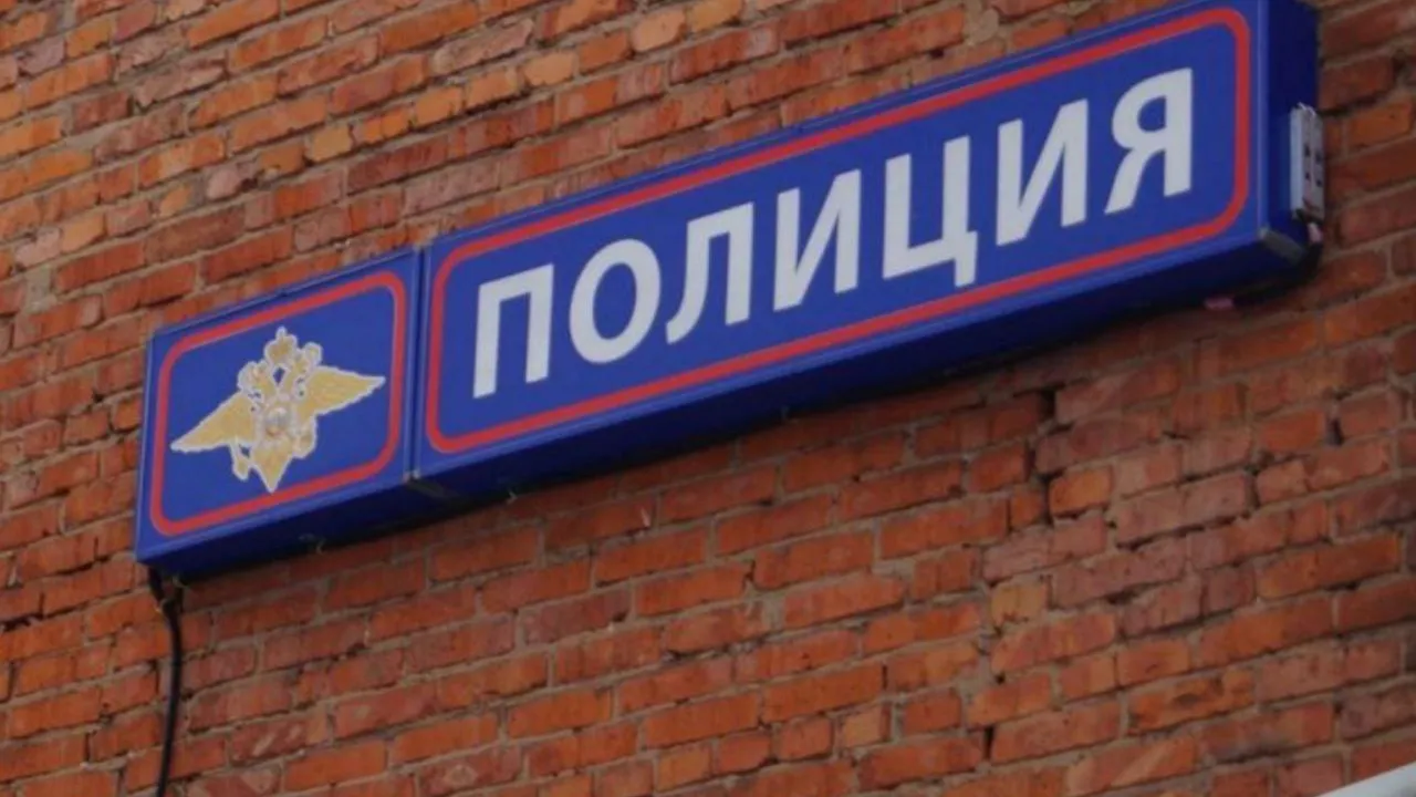 Фото: предоставлено пресс-службой ОМВД по Талдомскому г.о.