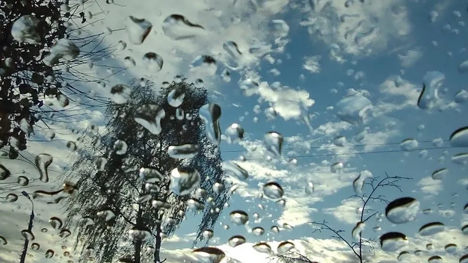 Фото: REGIONS/Алексей Селиверстов