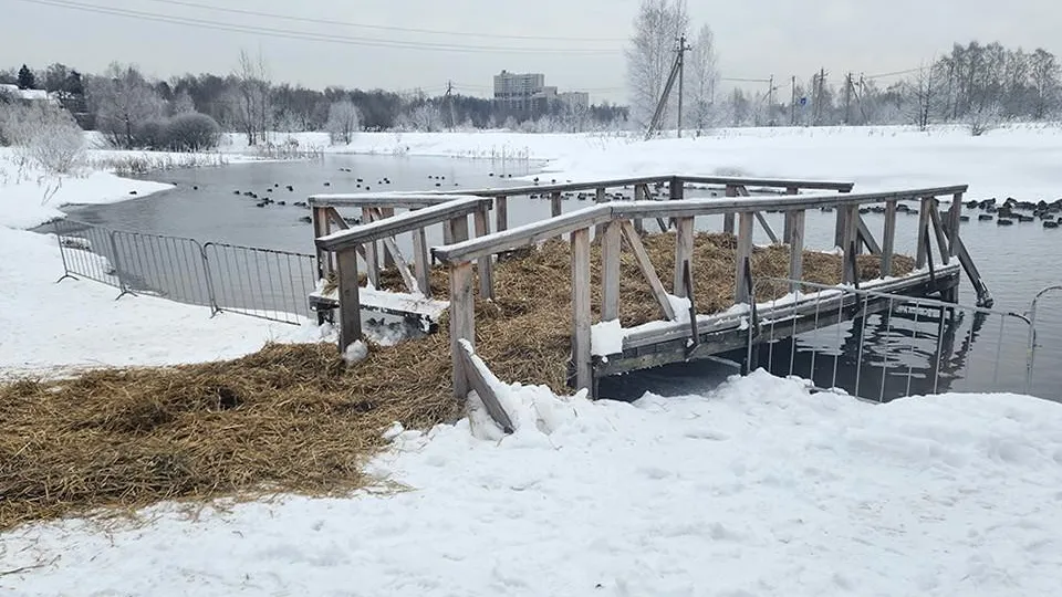 Ольга Шеметова