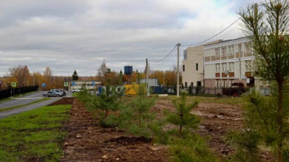 Фото: администрация г.о. Шаховская