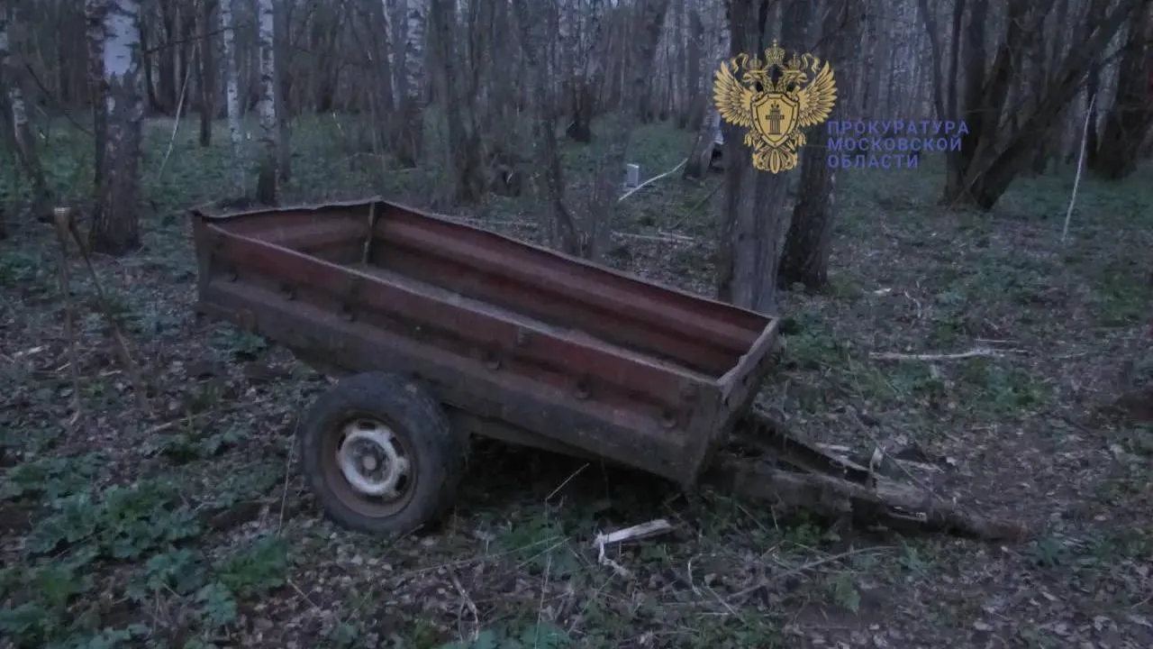 В Лотошине прокуратура взяла под контроль ход расследования уголовного дела о незаконной охоте
