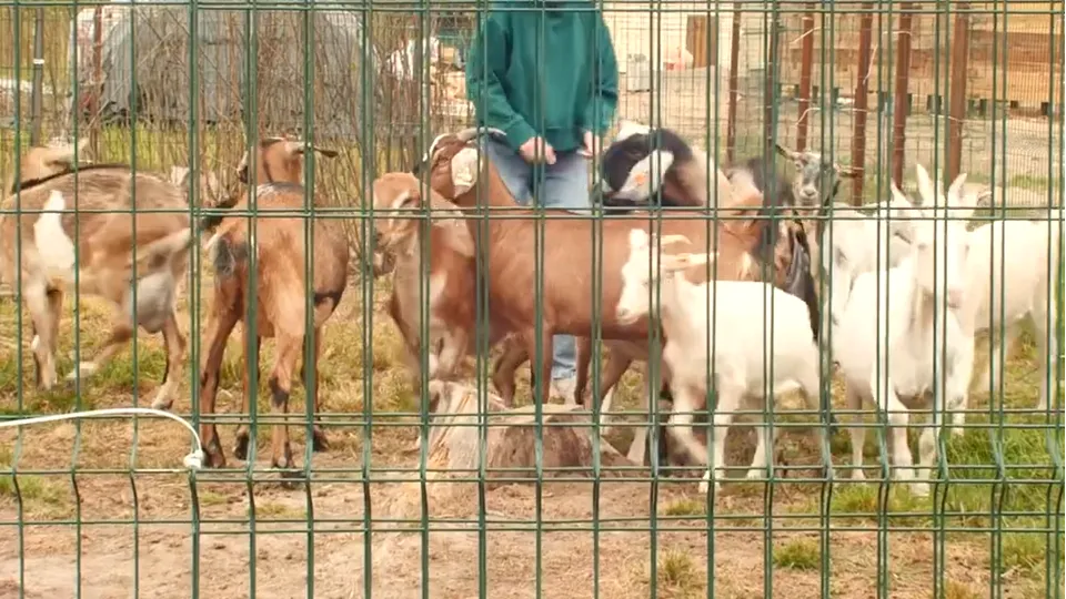 Фото: личный архив Полины Савиной