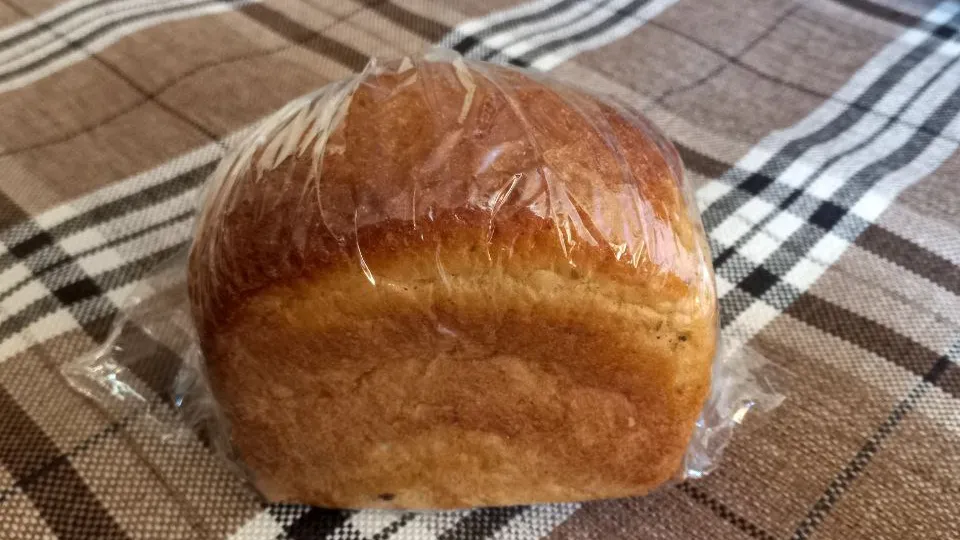 Фото: REGIONS/Олег Книжник