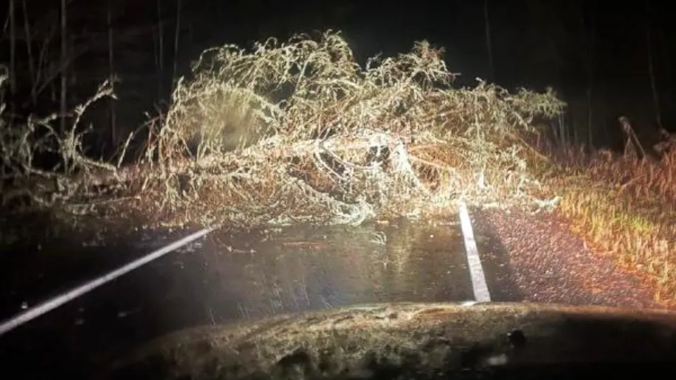 Фото: ГКУ МО «Мособлпожспас»