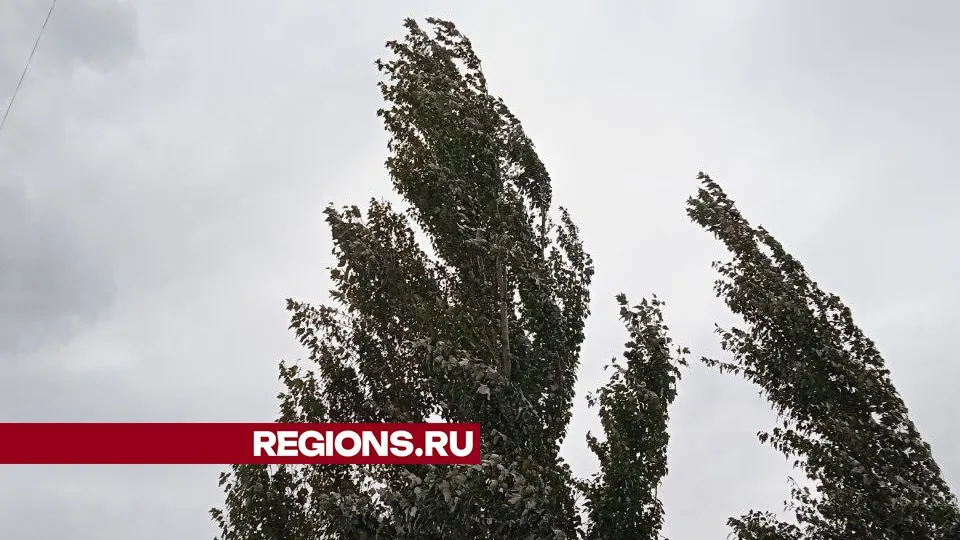 Фото: REGIONS/Юлия Куделькина