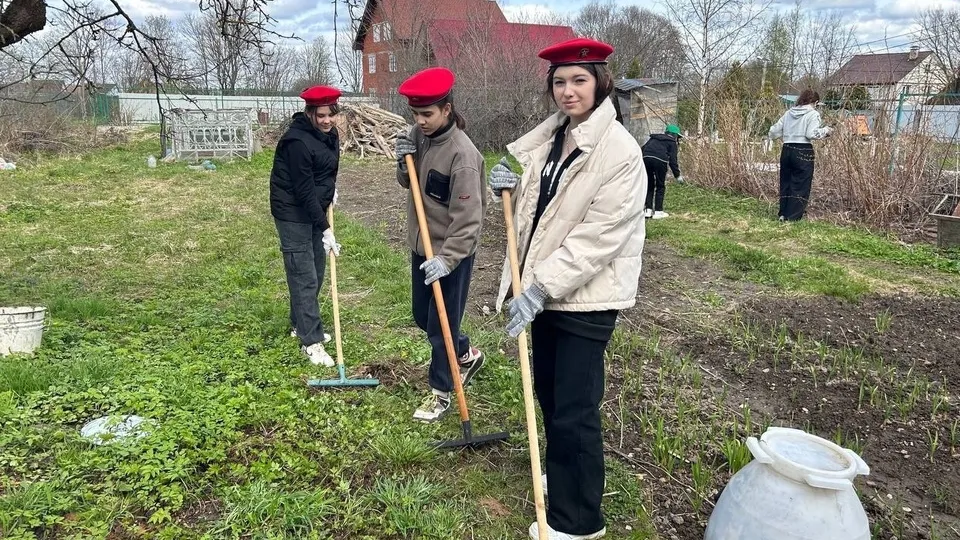 Фото: vk.com/Администрация городского округа Истра