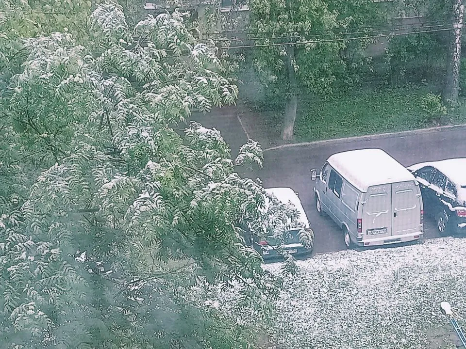 Фото: t.me/podolsk24life