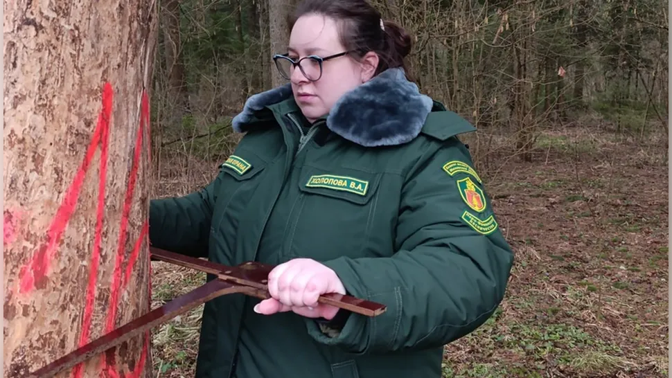 Фото: vk.com/Наро-Фоминский-Филиал Гау-Мо-Мособллес