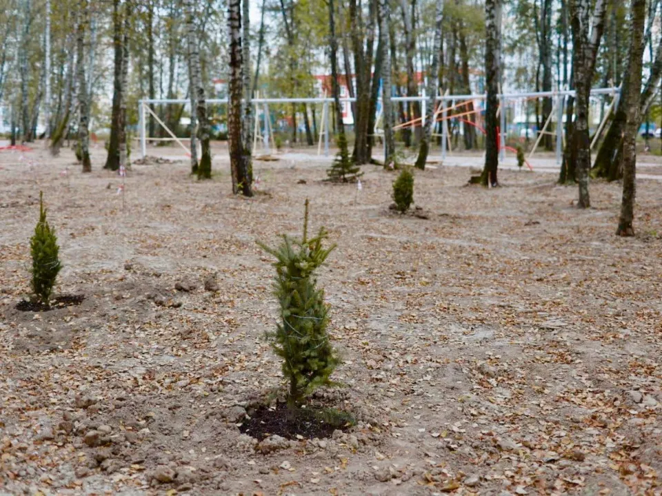 Фото: Администрация г.о. Чехов