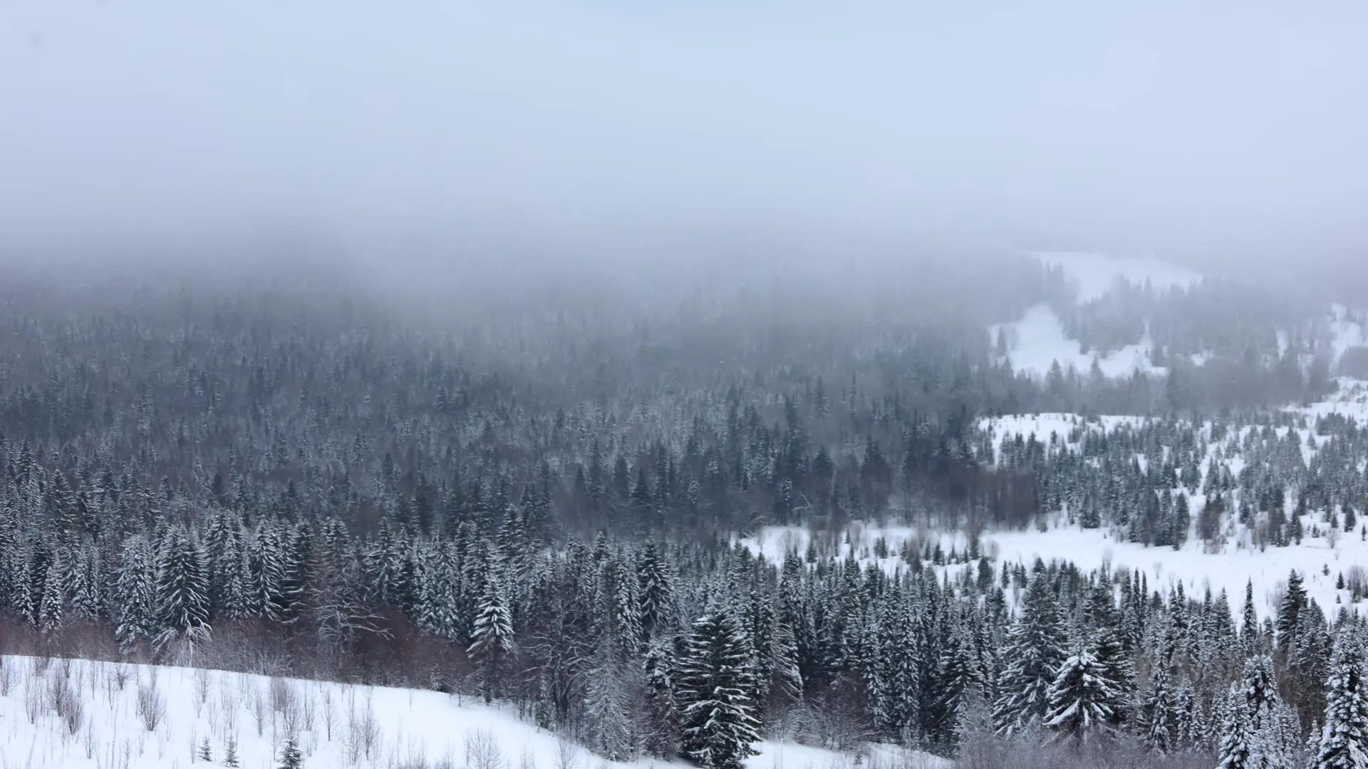 Elena Mayorova/Global Look Press