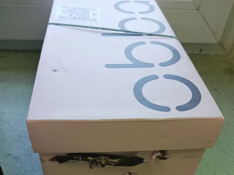 Фото: t.me/cat_tiki