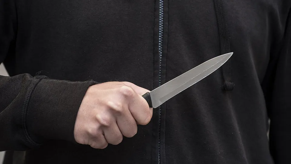 Фото: istockphoto.com/Elmar Gubisch