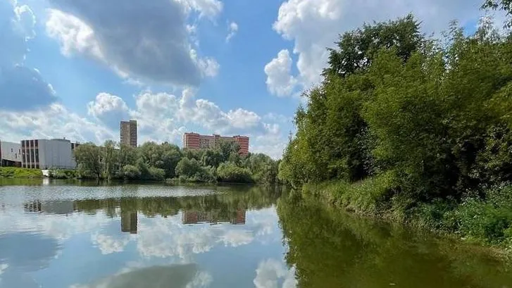 Фото: министерство экологии и природопользования МО