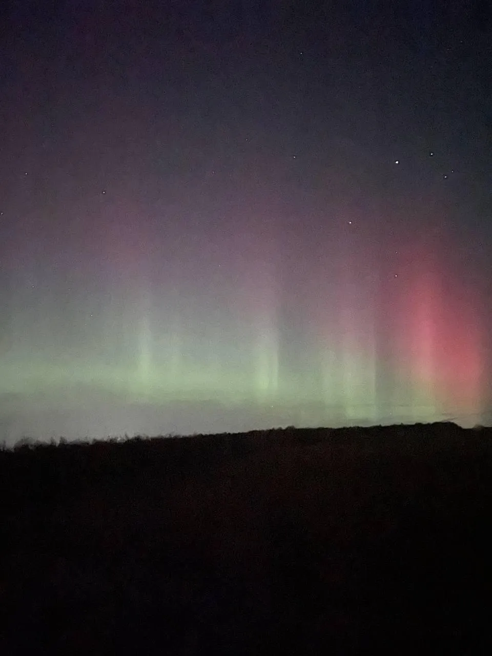 Дарья Леонова