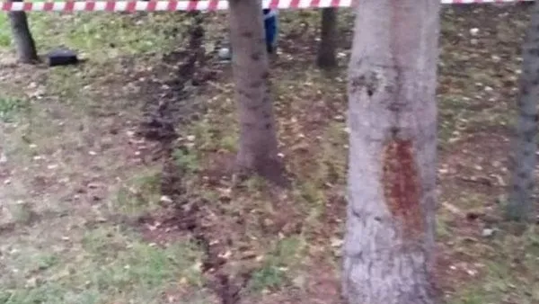 В Уфе малолетний ребенок ухватился за электропровод в парке