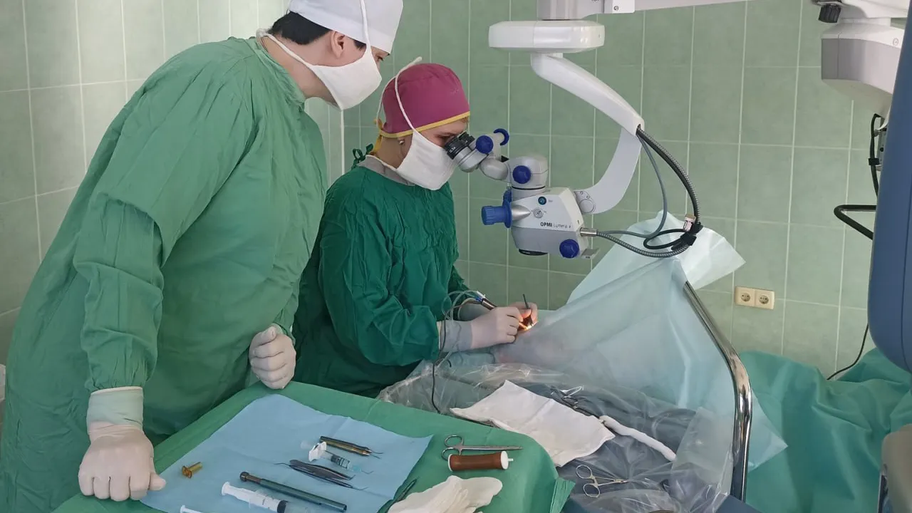 Фото: пресс-служба Пушкинской больницы имени профессора Розанова В.Н.