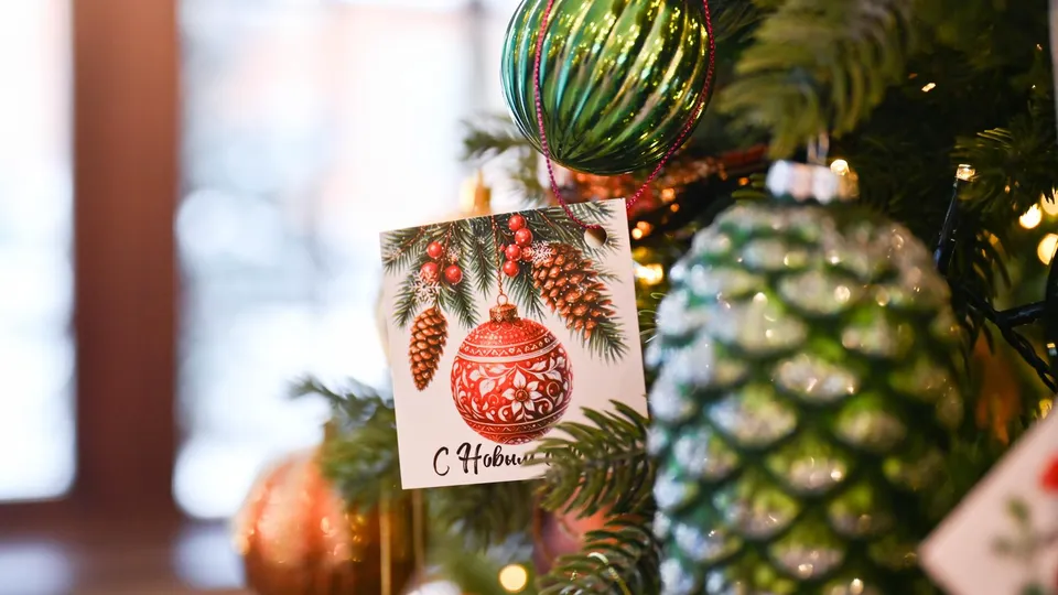 Фото: пресс-служба администрации г.о. Ленинский