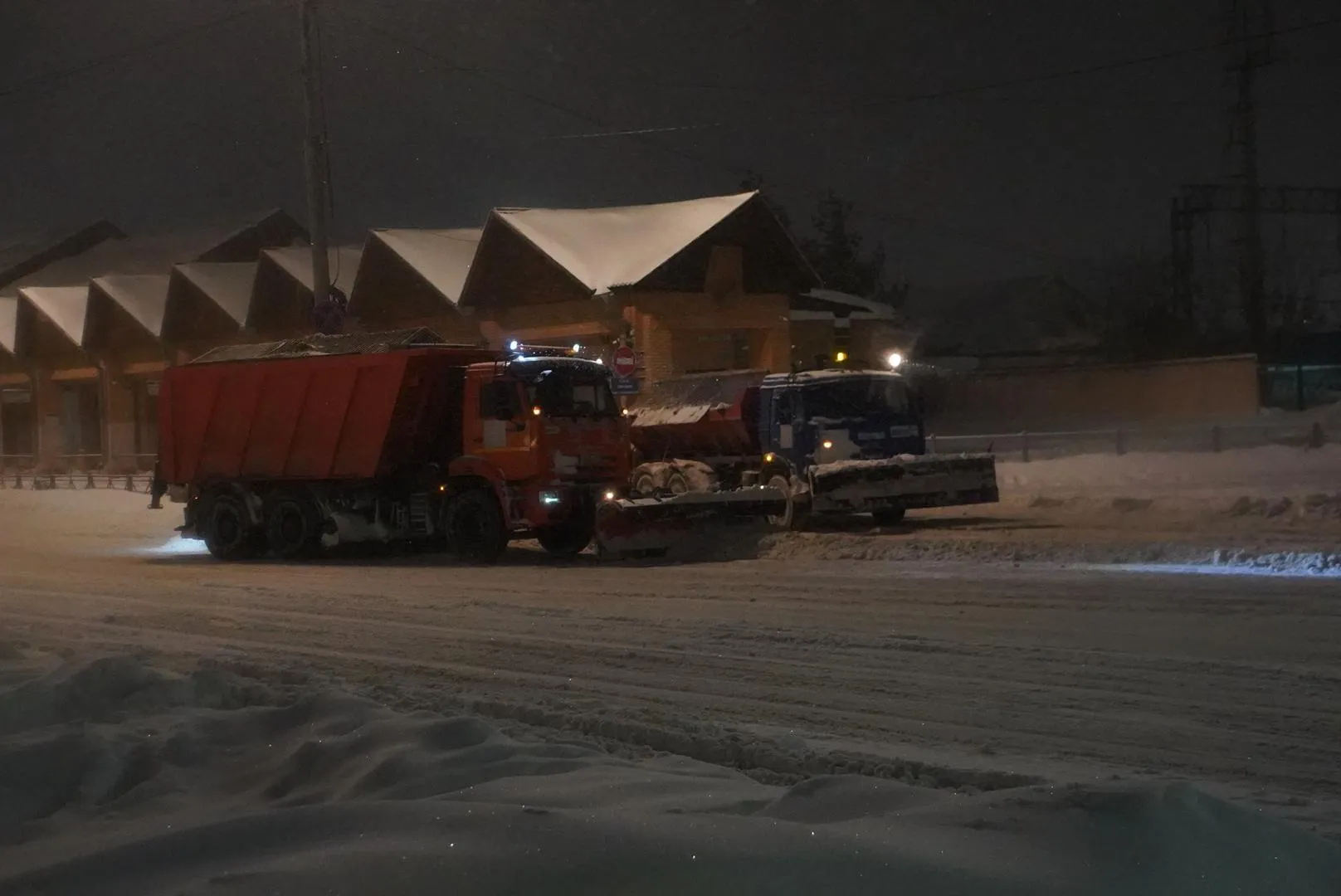 Алена Притула