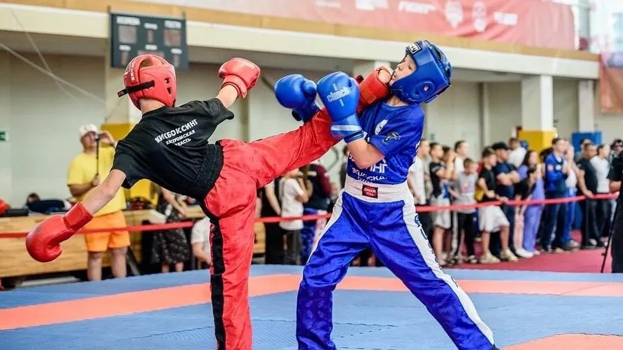 Федерация кикбоксинга России