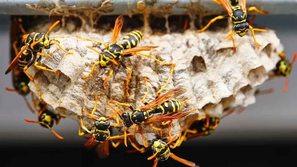 Фото: istockphoto.com