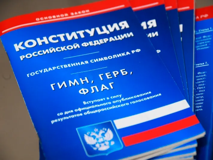 В Госдуме рассказали, как устраняются «пробелы» в законах