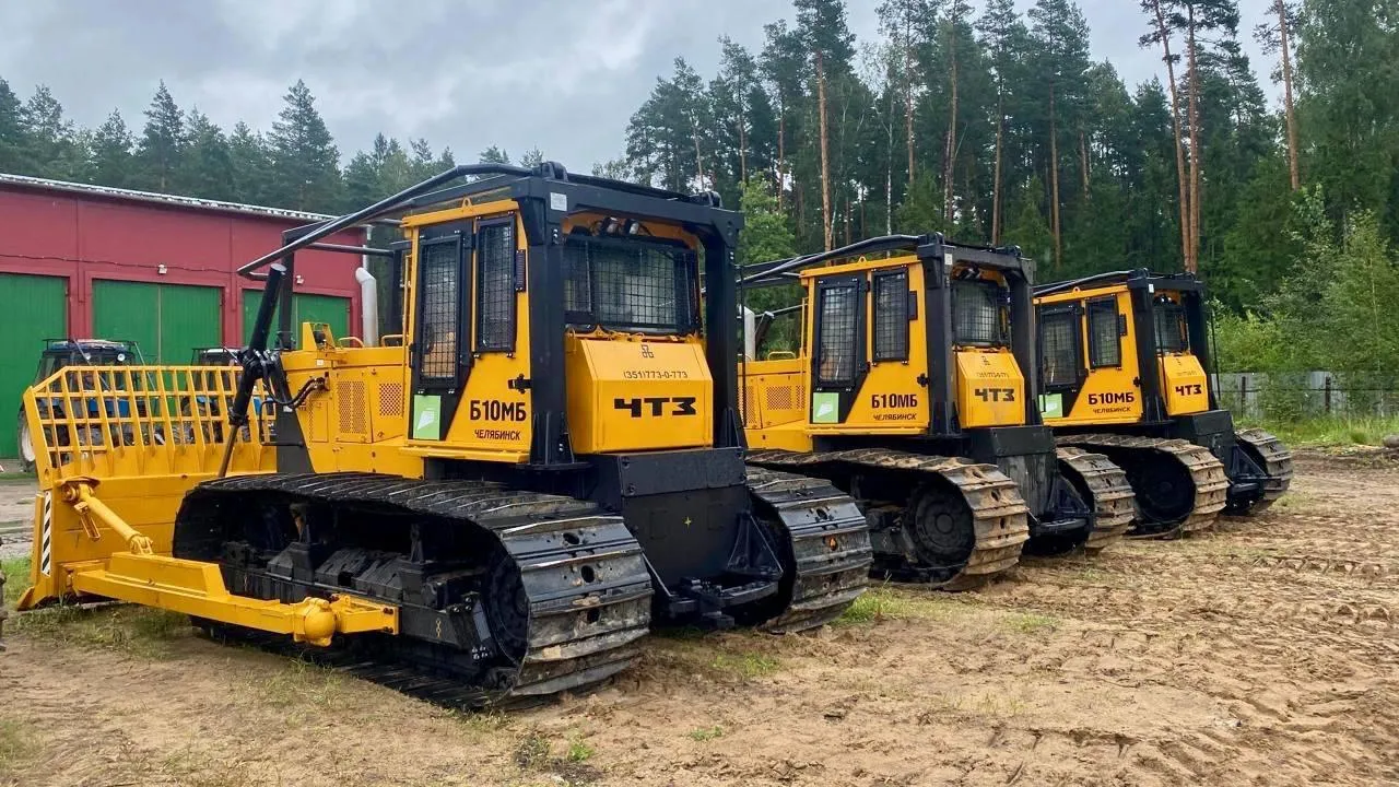 Фото: Комитет лесного хозяйства МО