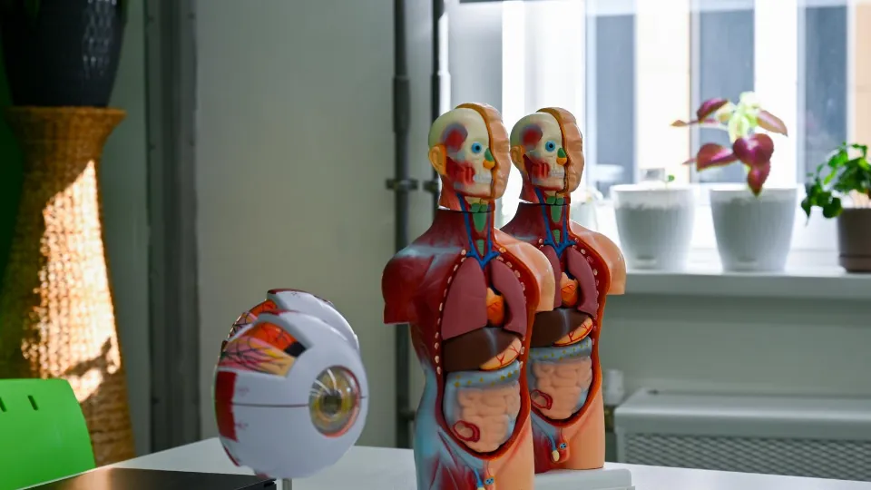 Фото: пресс-служба администрации Ленинского г.о.